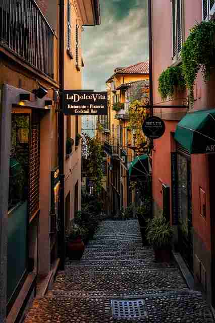 榴莲社区——评论区文化深度解析案例复盘(230 )