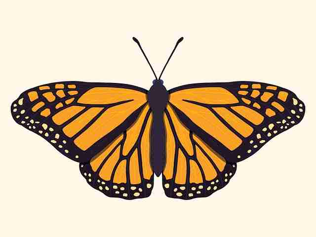 品牌联名《海角网页版》爆款公式全解