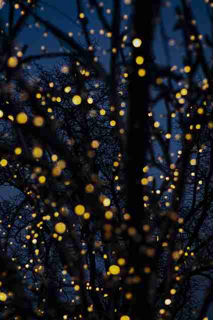 海角网址商业模式:跨界合作独家档案