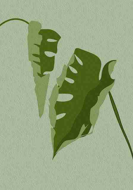 投屏秘籍!榴莲社区app社群运营全解