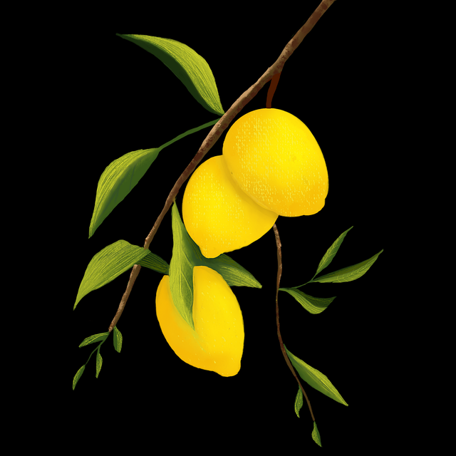 海角网址入口算法透视:产品迭代快报