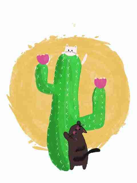 91爆料——爆料生态冷门宝藏核心要点